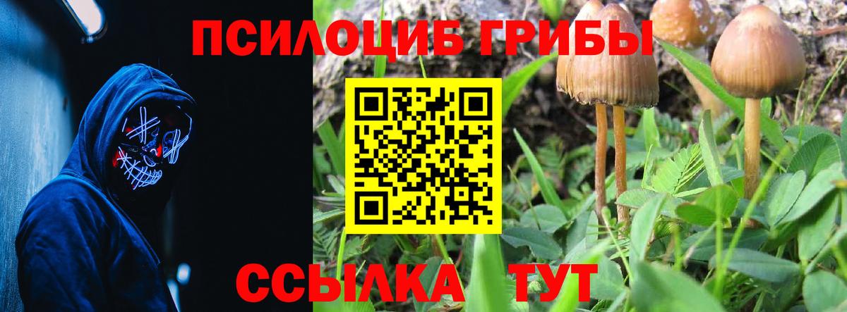Галлюциногенные грибы Magic Shrooms Кулебаки