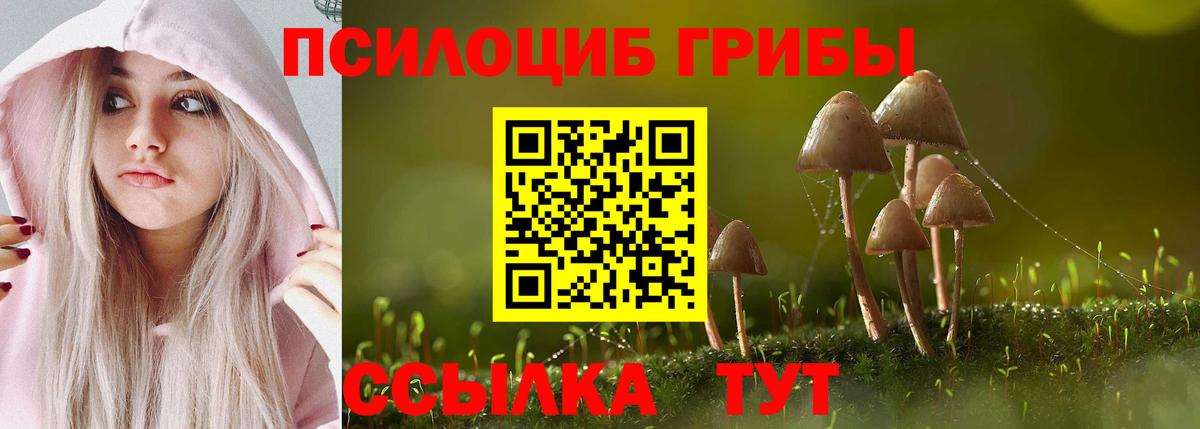 Галлюциногенные грибы Psilocybe  даркнет сайт  Кулебаки  Вход с VPN 